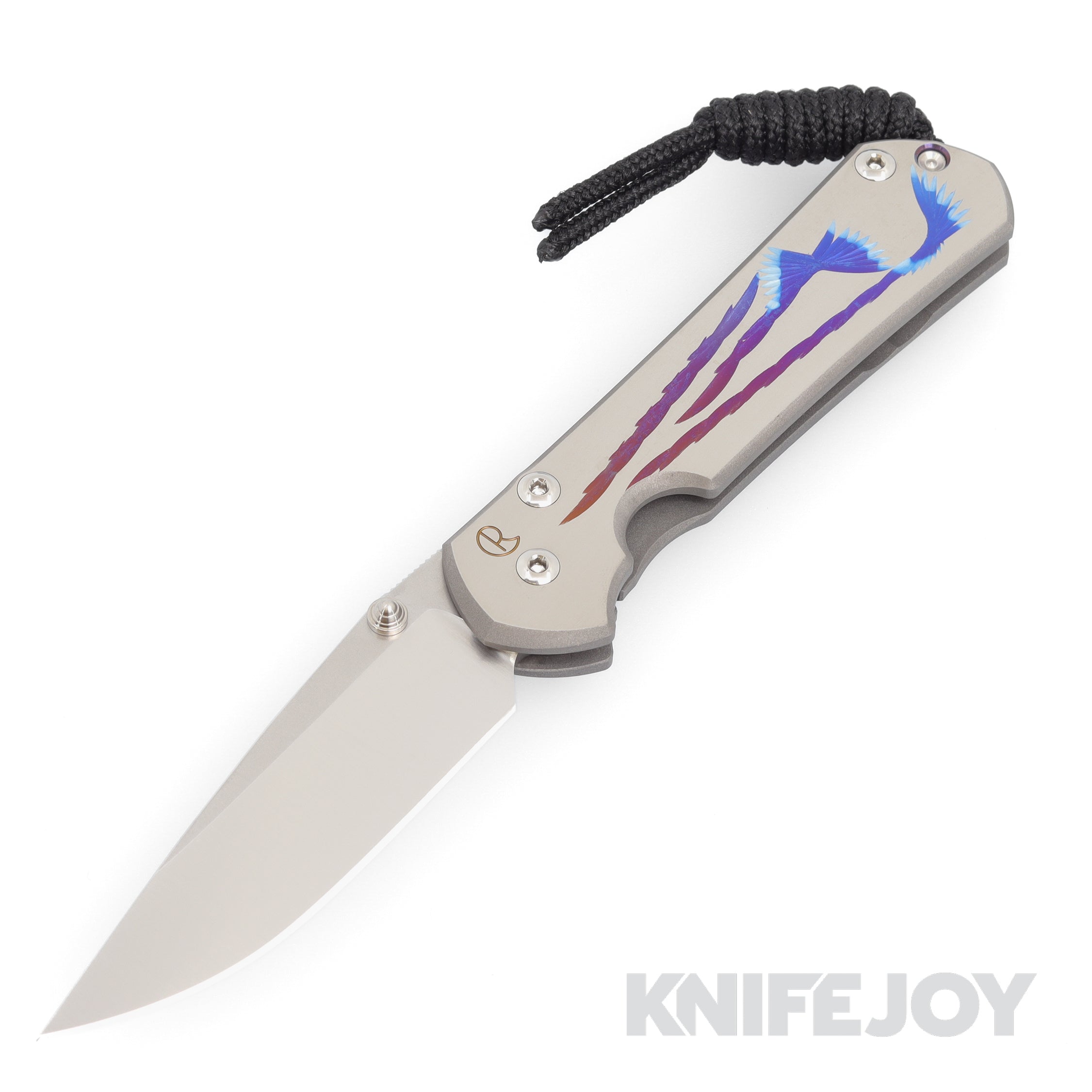 Chris Reeve Knives Small Sebenza 31 Drop Point Magnacut Blade with Uni ...