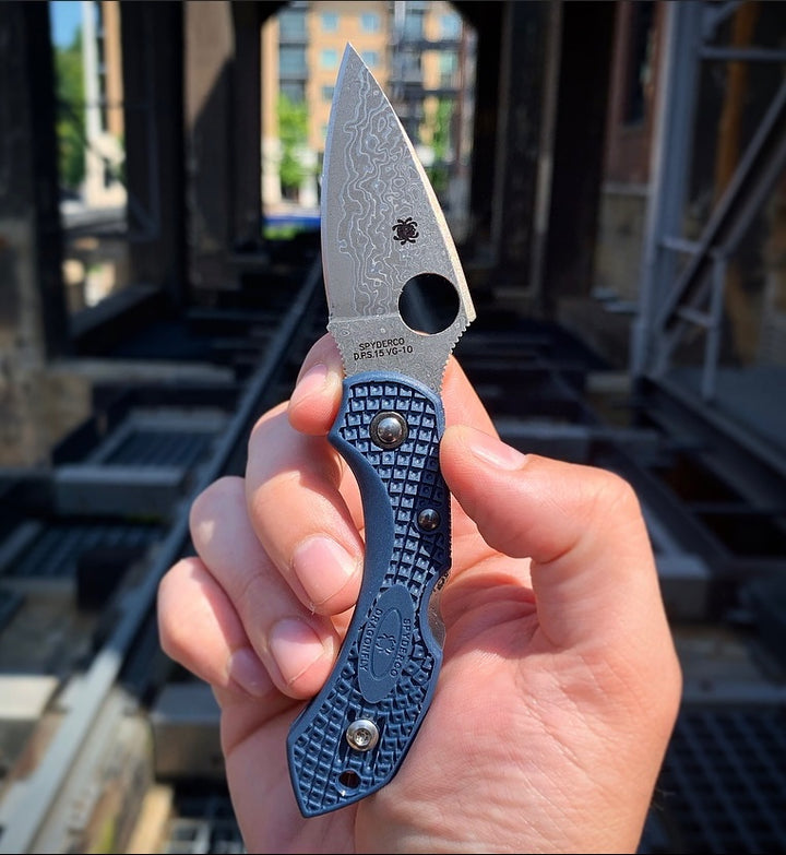 Spyderco C28PDBL2 KJ Exclusive Dragonfly 2 Steel Blue FRN Handles