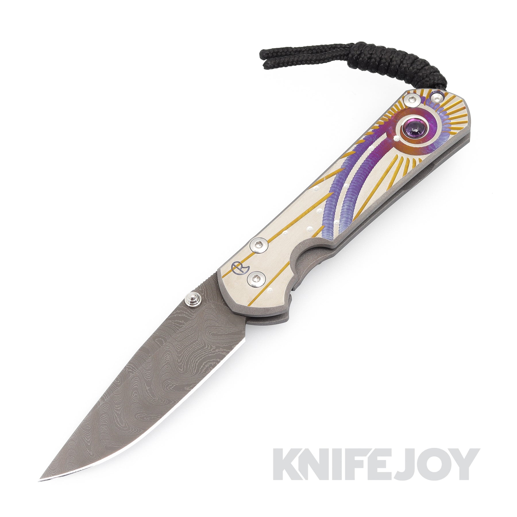 Chris Reeve Solar System Chris Reeve Knives Small Sebenza 31 Drop Point Cabochon Boomerang Dama ...