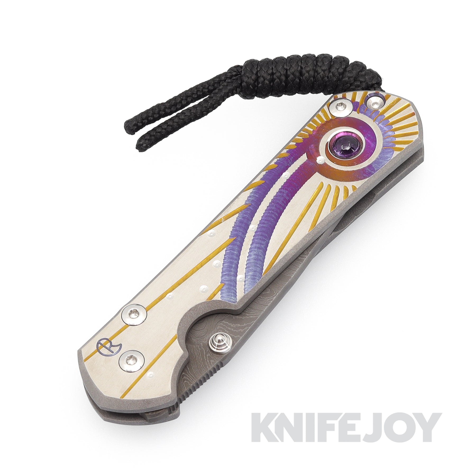 Chris Reeve Solar System Chris Reeve Knives Small Sebenza 31 Drop Point Cabochon Boomerang Dama ...