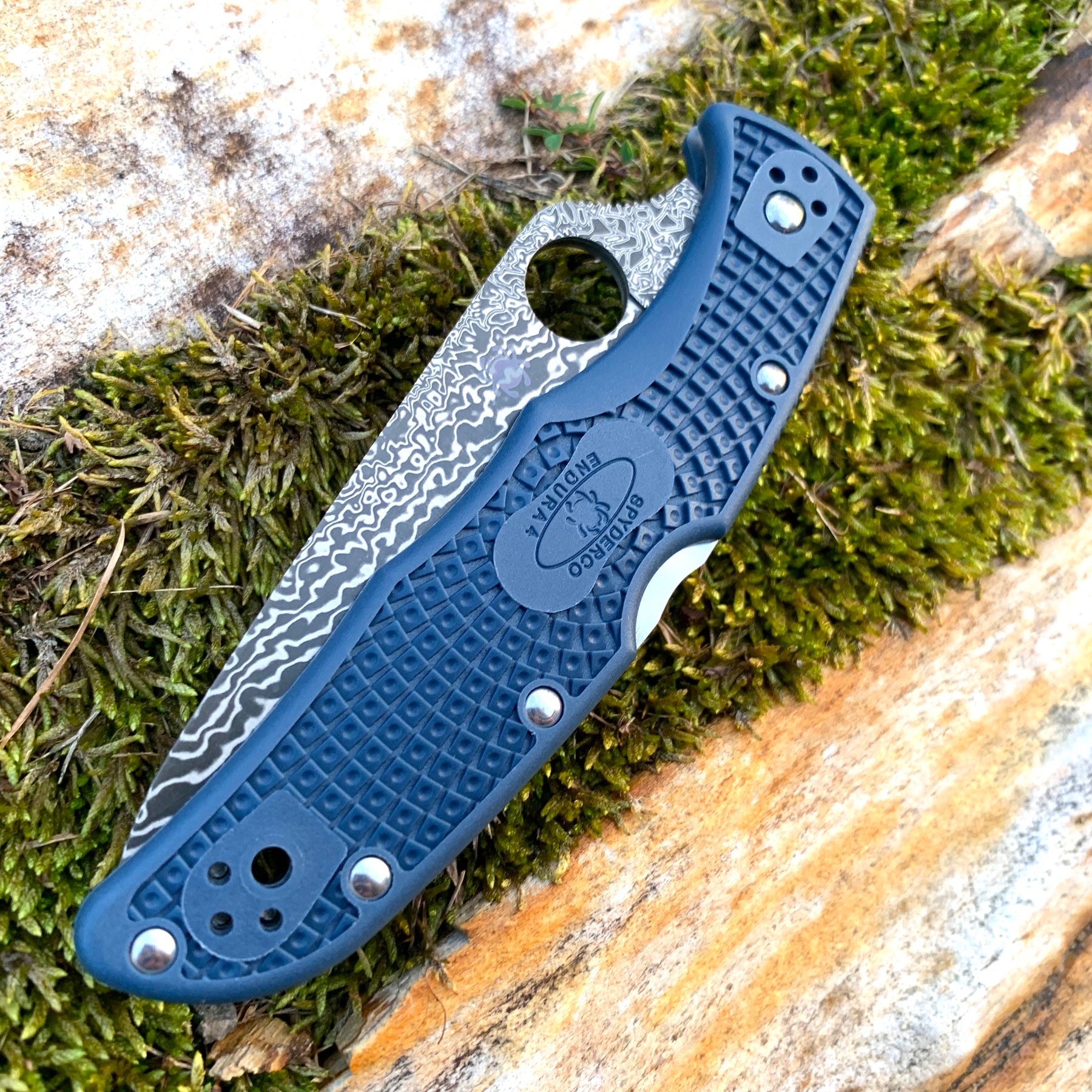 Photo4Less  Spyderco ItamaeNakiri Kitchen Knife-SUS410 Super Blue